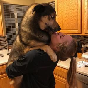 Meet your Posher, Alex